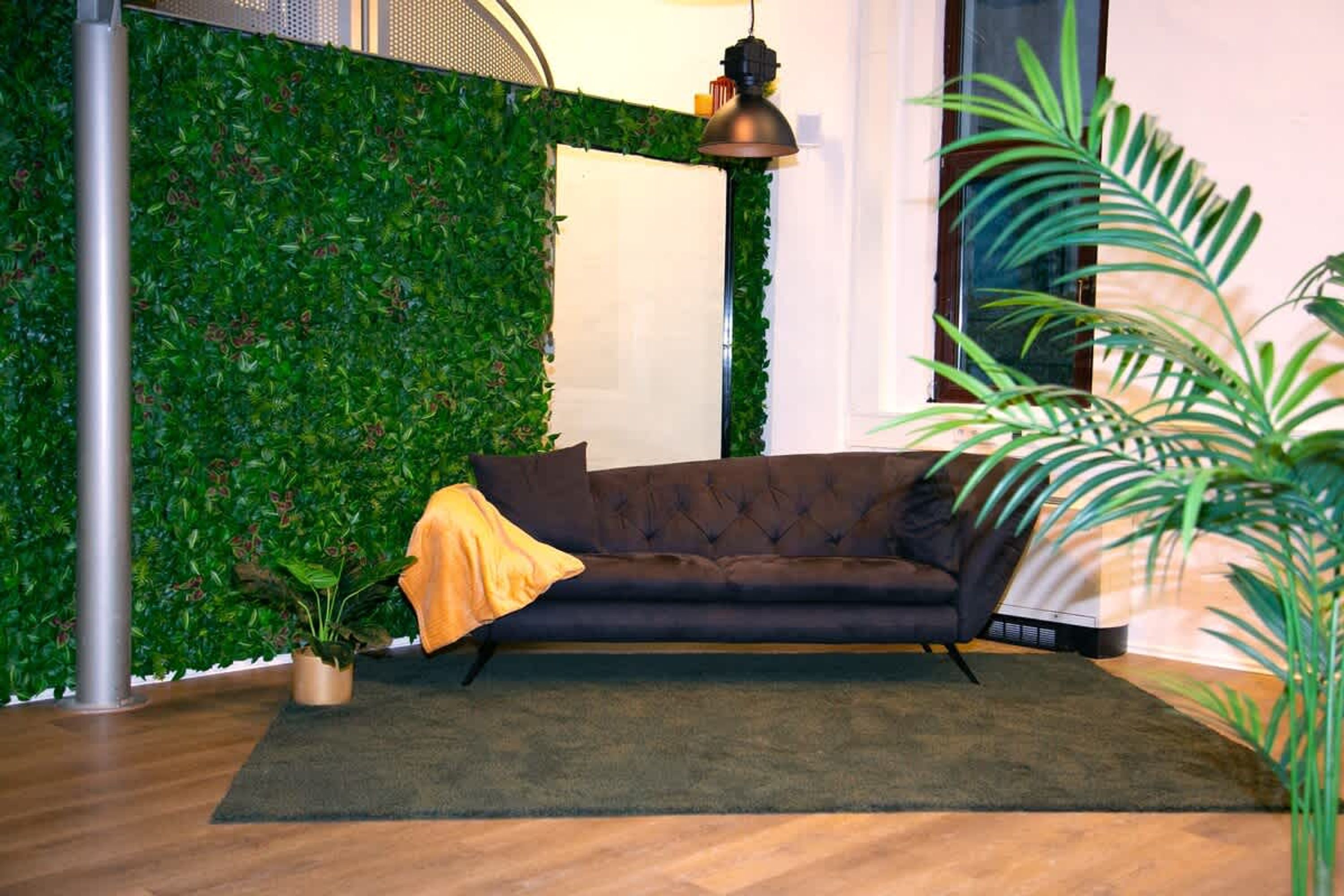 A room with a green wall, a dark sofa, a lamp, and a potted plant.
