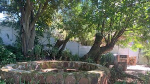 Una estructura circular de piedra rodeada de vegetación, con árboles y plantas al fondo.