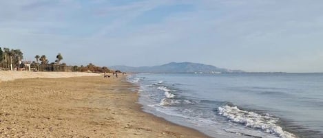 Playa