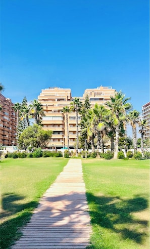 Un sendero conduce a un complejo de edificios de varios pisos, rodeado de palmeras y vegetación.