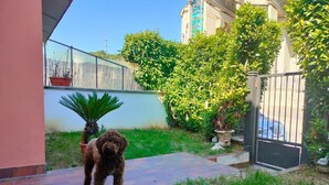 A dog in a courtyard with a tiled floor, a metal gate, and a building in the background.