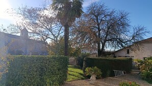 A courtyard with a palm tree, a hedge, and a flower pot. - Between vineyards and estuary, discover Walter's winery (Semillac)