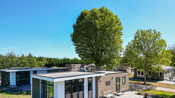 A modern residential area with contemporary houses, a large tree, and a patio with outdoor furniture. - Cube XL 68 | 4 persoons chalet in Zennewijnen (Zennewijnen)