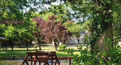 2-person Bell Tent Stay at Old Vicarage Campsite