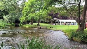 A tranquil park with a pond, trees, and a gazebo. - 2-person Bell Tent Stay at Old Vicarage Campsite (Retford)