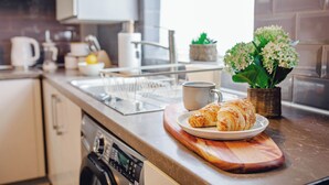 A kitchen counter with a plate of croissants, a mug, and a potted plant.