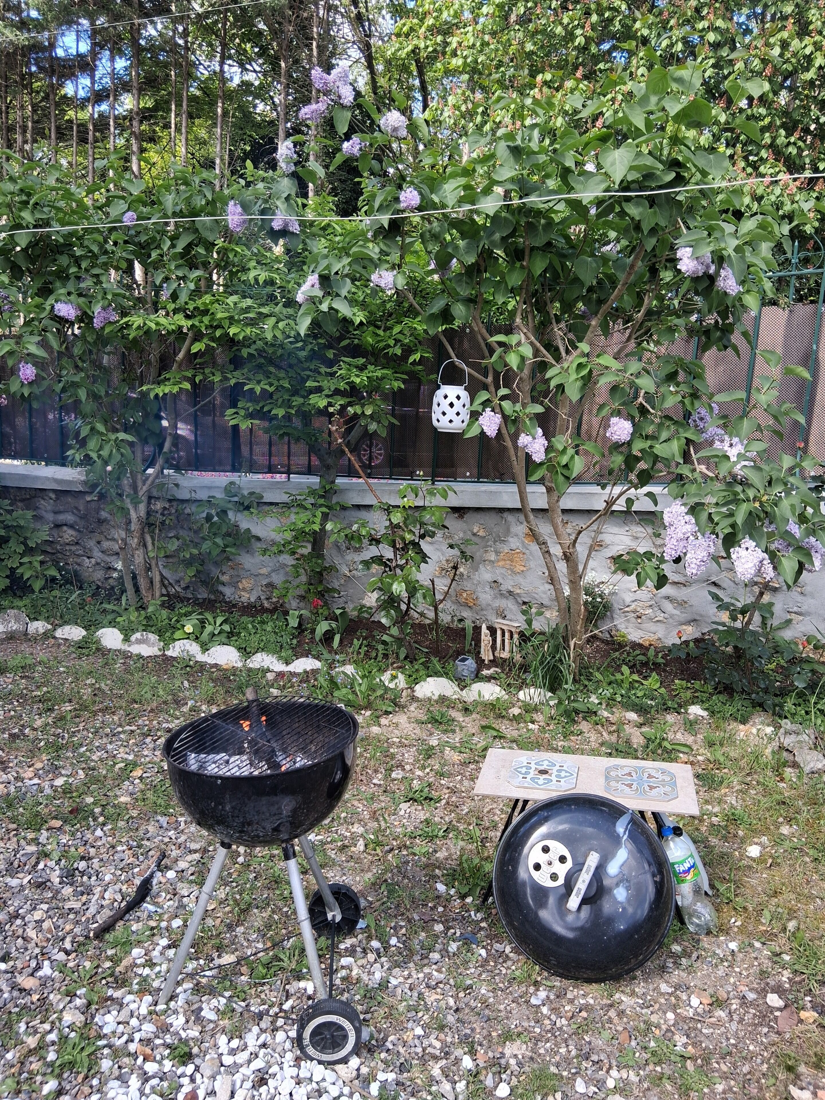 En have med grill, drikkefontæne og en dekorativ lygte.