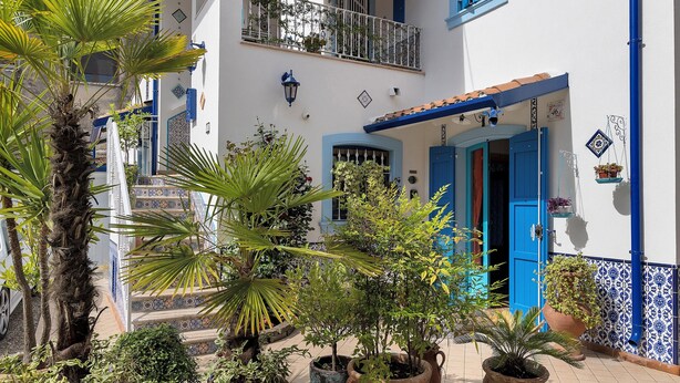 A courtyard with potted plants, a blue door, and a tiled floor. - Apartment 'La Maison Des Artistes' with Wi-Fi and Air Conditioning (Mozzecane)