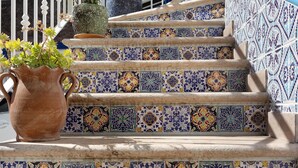 A staircase with colorful tile patterns, a terracotta pot with plants, and a white railing. - Apartment 'La Maison Des Artistes' with Wi-Fi and Air Conditioning (Mozzecane)