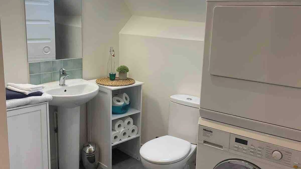 Et lille badeværelse med vask, toilet og vaskemaskine.