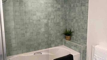 Shower, hair dryer, shampoo