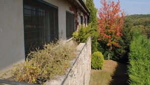 A building with large windows, a stone retaining wall, and a garden with various plants and trees. - El Secreto de las Eras - Charming rural house in Candelario, nature (Candelario)