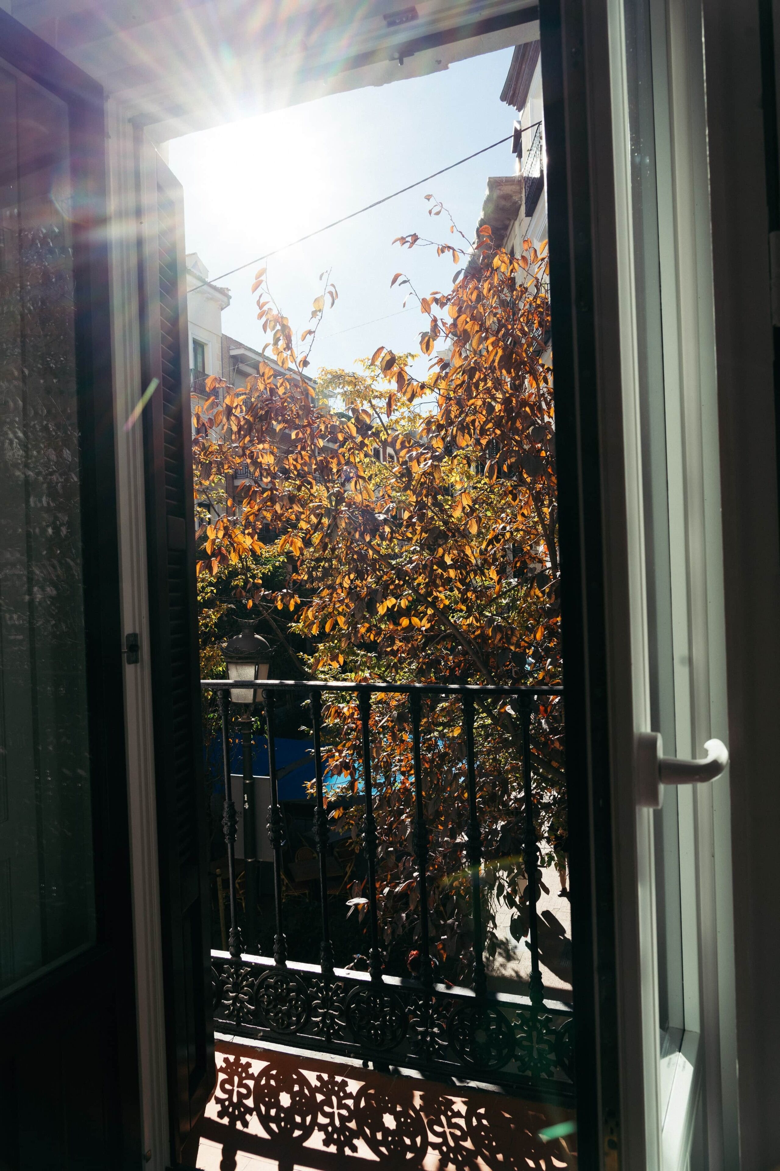 A view through a door with sunlight streaming in, a balcony with a metal railing, and autumn-colored foliage in the background.