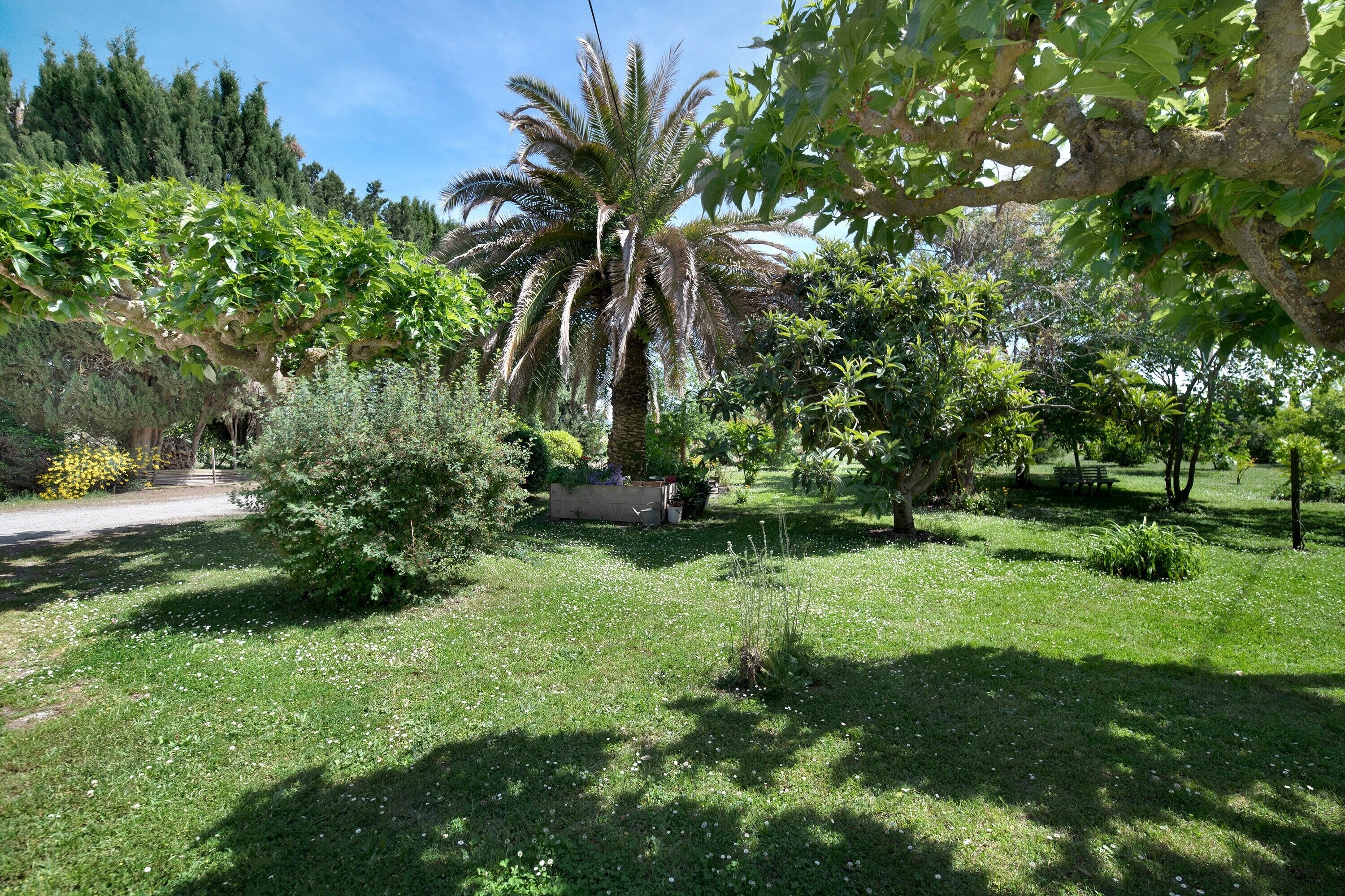 Parco della struttura