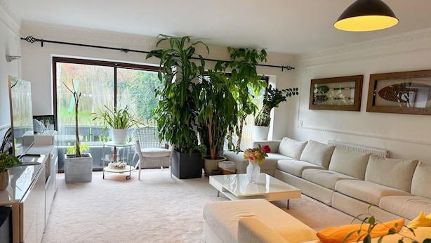 Ein geräumiges Wohnzimmer mit großem Fenster, einer Couch, einem Couchtisch und einigen Blumentöpfen.