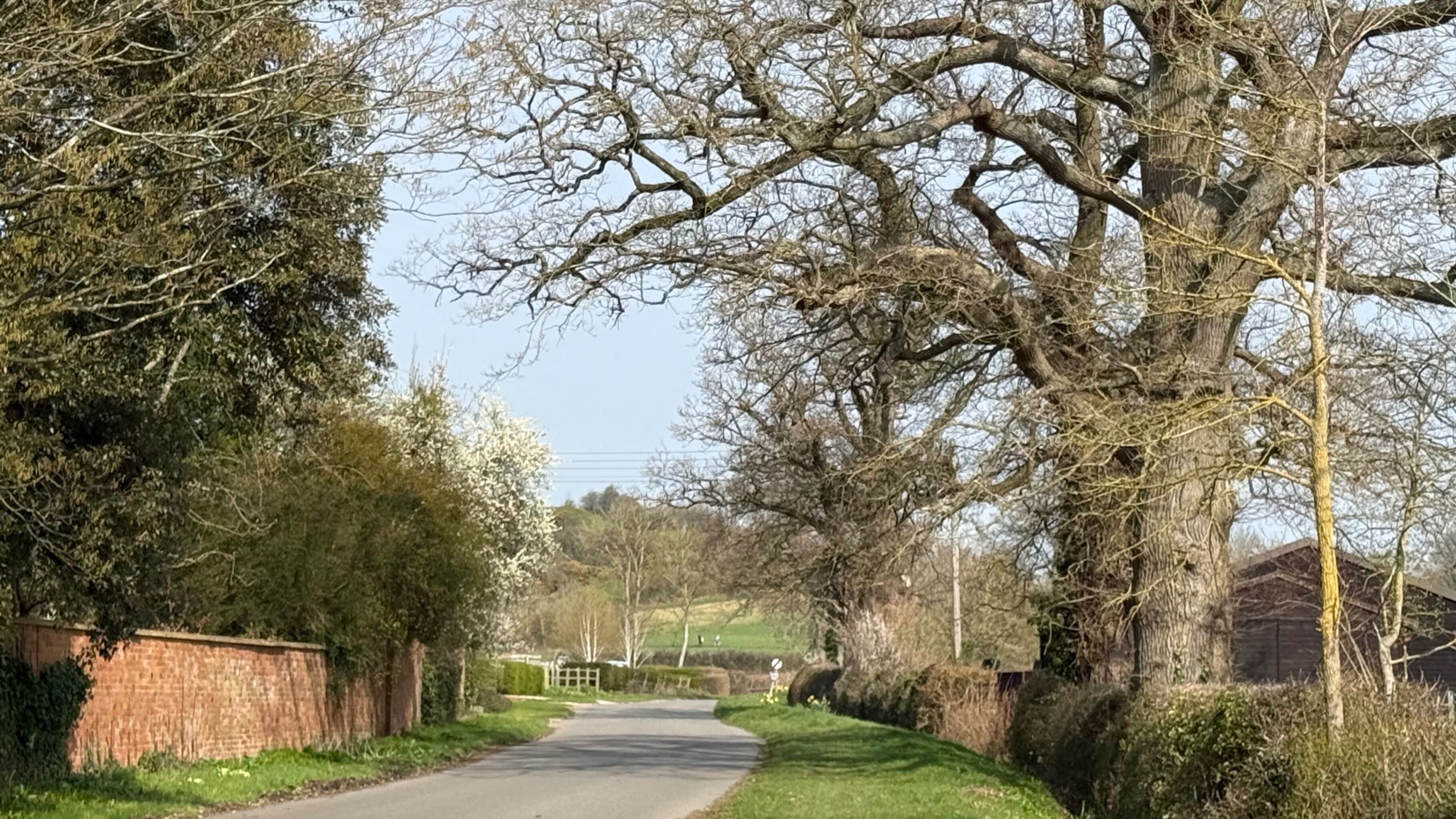 A rural road flanked by trees and a brick wall.
