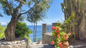 Un vialetto in pietra conduce a un muro di pietra con un cancello in metallo, un albero grande e una pianta in vaso con fiori.