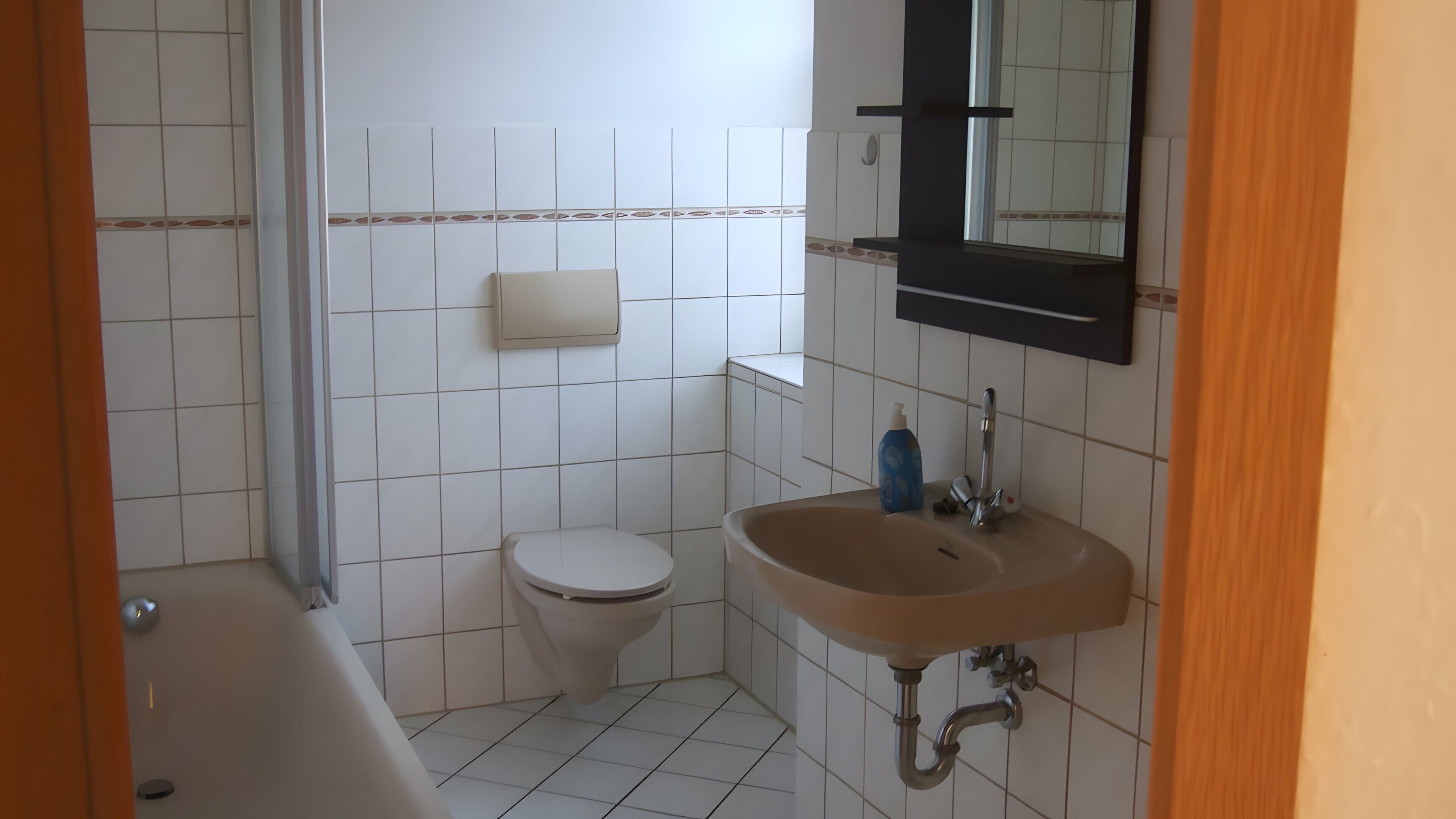 Shower, hair dryer