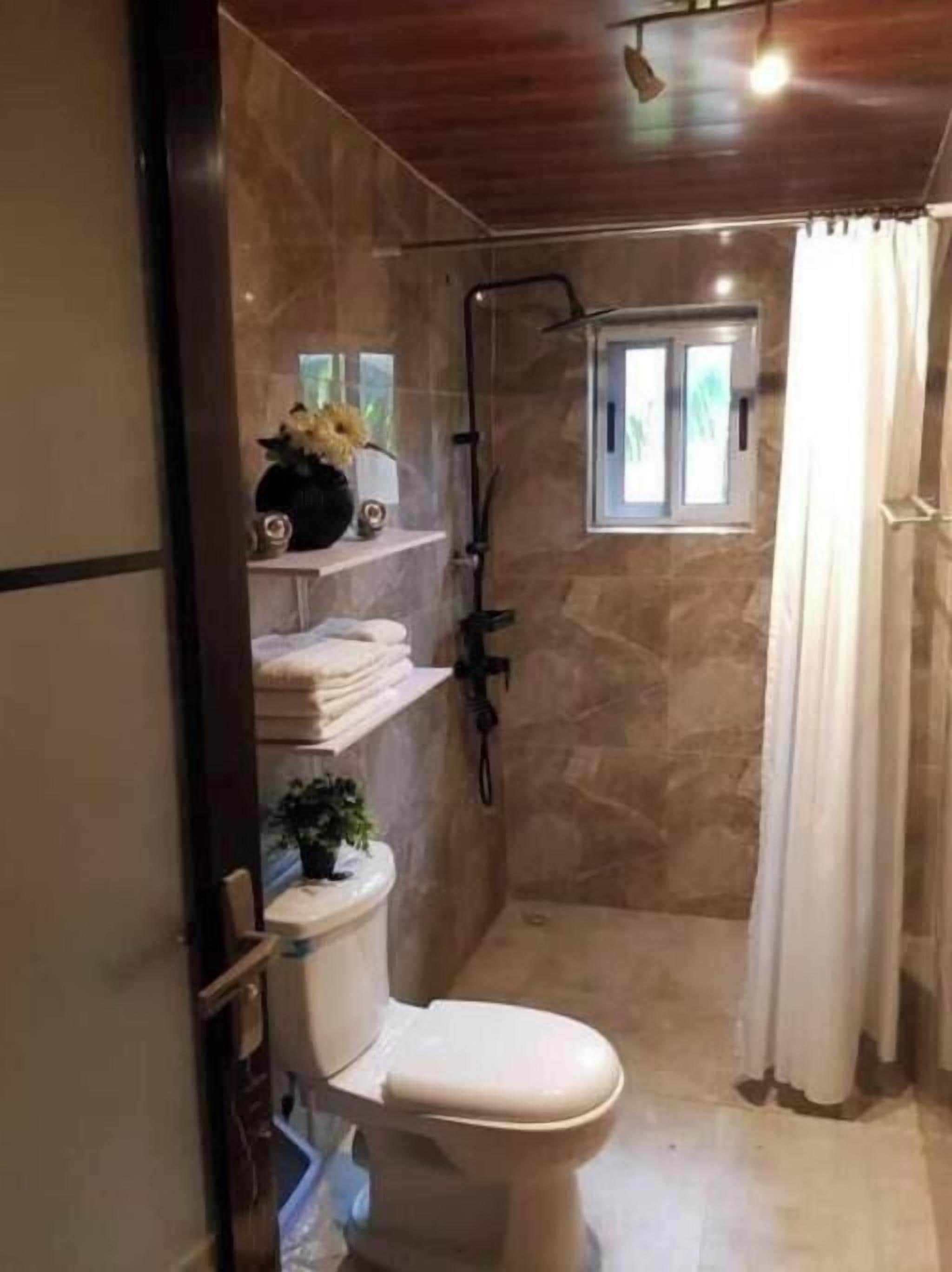 Shower, towels, soap, toilet paper