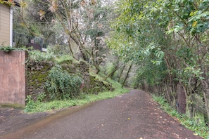 Uma estrada estreita e pavimentada, ladeada por vegetação densa e um muro de pedra de um lado.