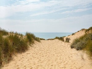 En sti gennem sanden ned mod havet, kantet af græs.