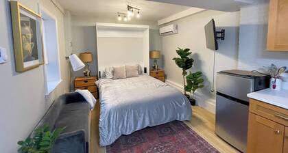 Renovated Studio, near hospitals, MBTA