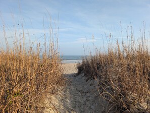 A sandy path leading to a beach with tall grasses on either side.