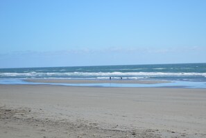 On the beach - 212 - Life's a beach, take a paws and relax (Westport)