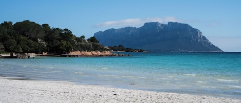 In Strandnähe