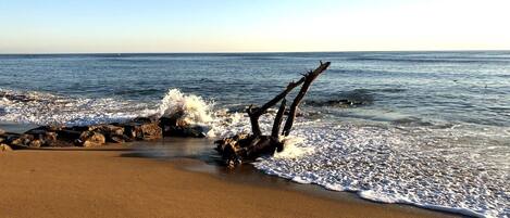 Suite Standard | Plage