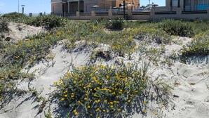 A multi-story building with balconies, a sandy foreground with yellow flowers, and a clear blue sky. - Mariposa de Dos Mares | Beachfront, Pool & Padel (La Manga del Mar Menor)