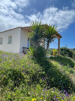 Exterior - Isola Rossa Appartamenti Paduledda (Trinità d'Agultu e Vignola)