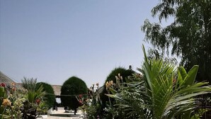 A paved pathway with tiled flooring, surrounded by various plants and trees. - A La Teranga (Foundiougne)