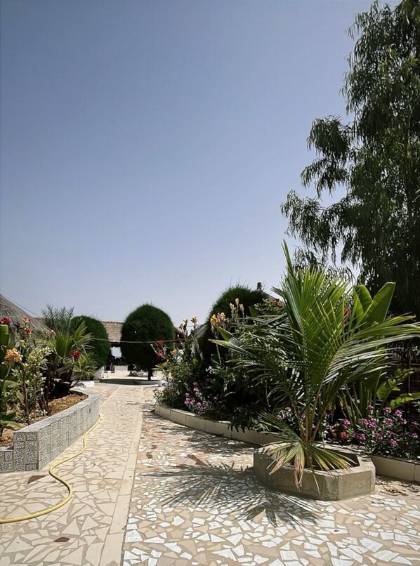 A paved pathway with tiled flooring, surrounded by various plants and trees.