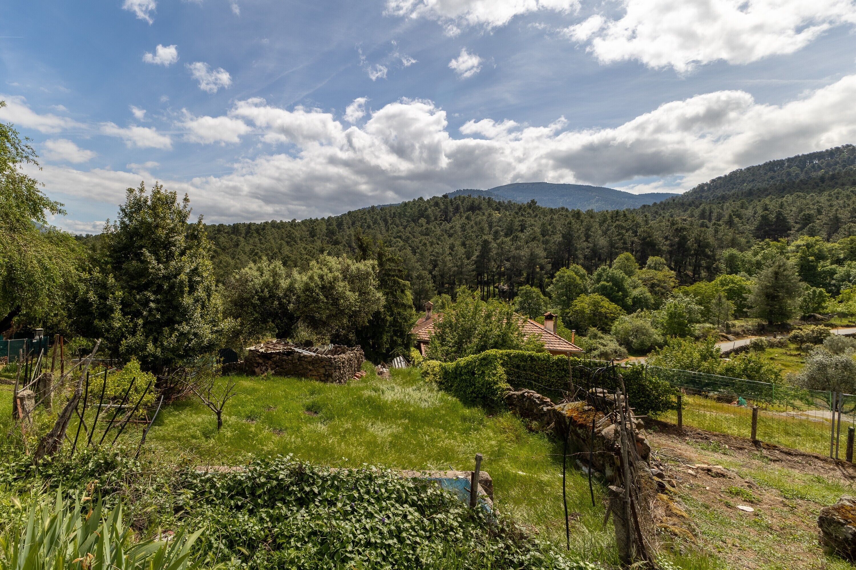 A rural landscape with a stone wall, a small building, and a forested hill in the background.