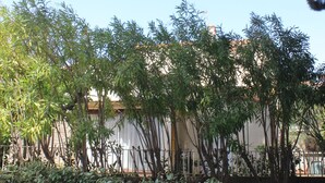 A garden with various trees and shrubs, a building in the background, and a clear sky. - Large villa with garden / 6 persons / 300 m from the sea (Canet-en-Roussillon)