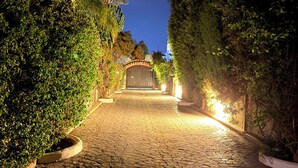 Un camino pavimentado que conduce a una entrada con portón, rodeado de follaje y árboles.