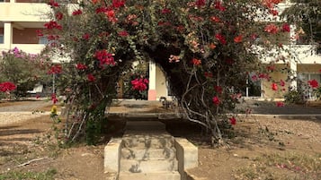 Apartment, 2 Bedrooms, Balcony, Garden View | Property grounds