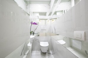 Douche, bidet, serviettes fournies, papier toilette