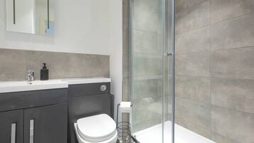 Shower, towels, toilet paper