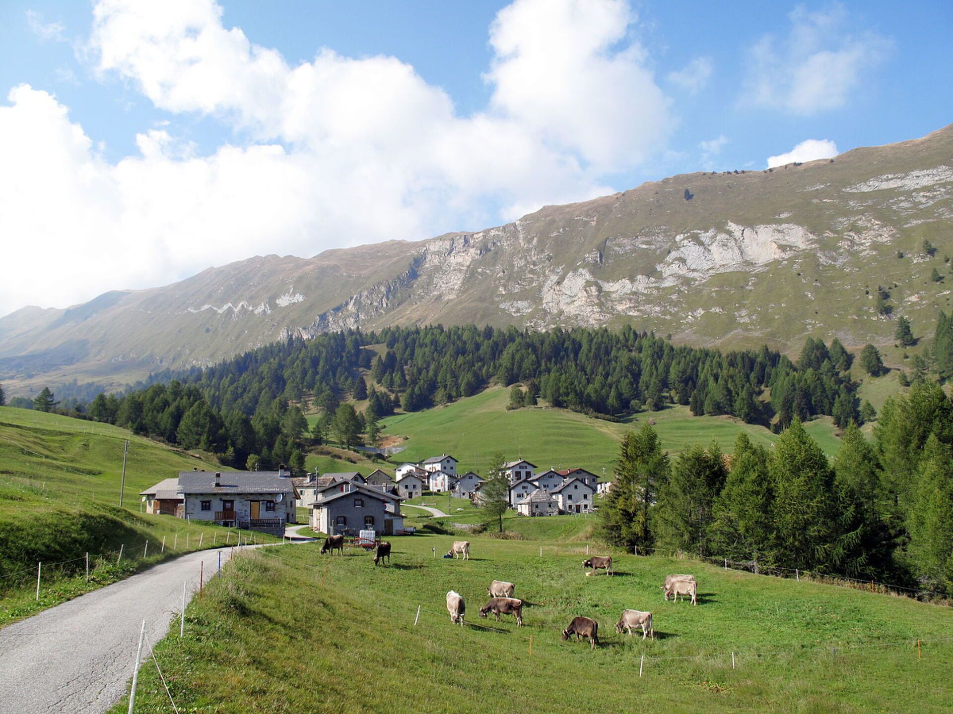 Montagne, Montagnes Relief, Colline, Végétation, Montagnes, Chaîne De Montagnes, Station De Montagne, Paysage, Vallée, Terrain