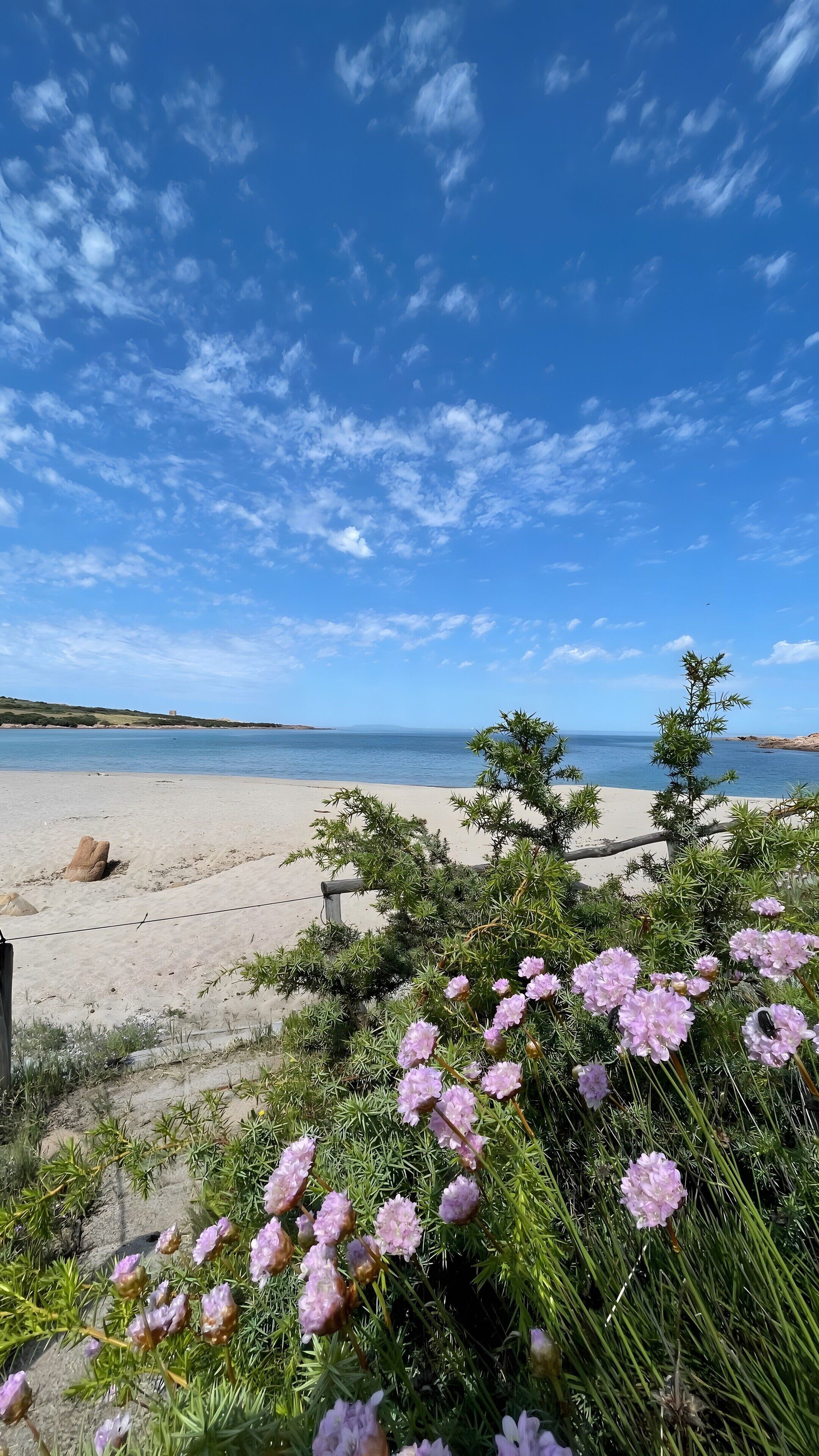 In Strandnähe