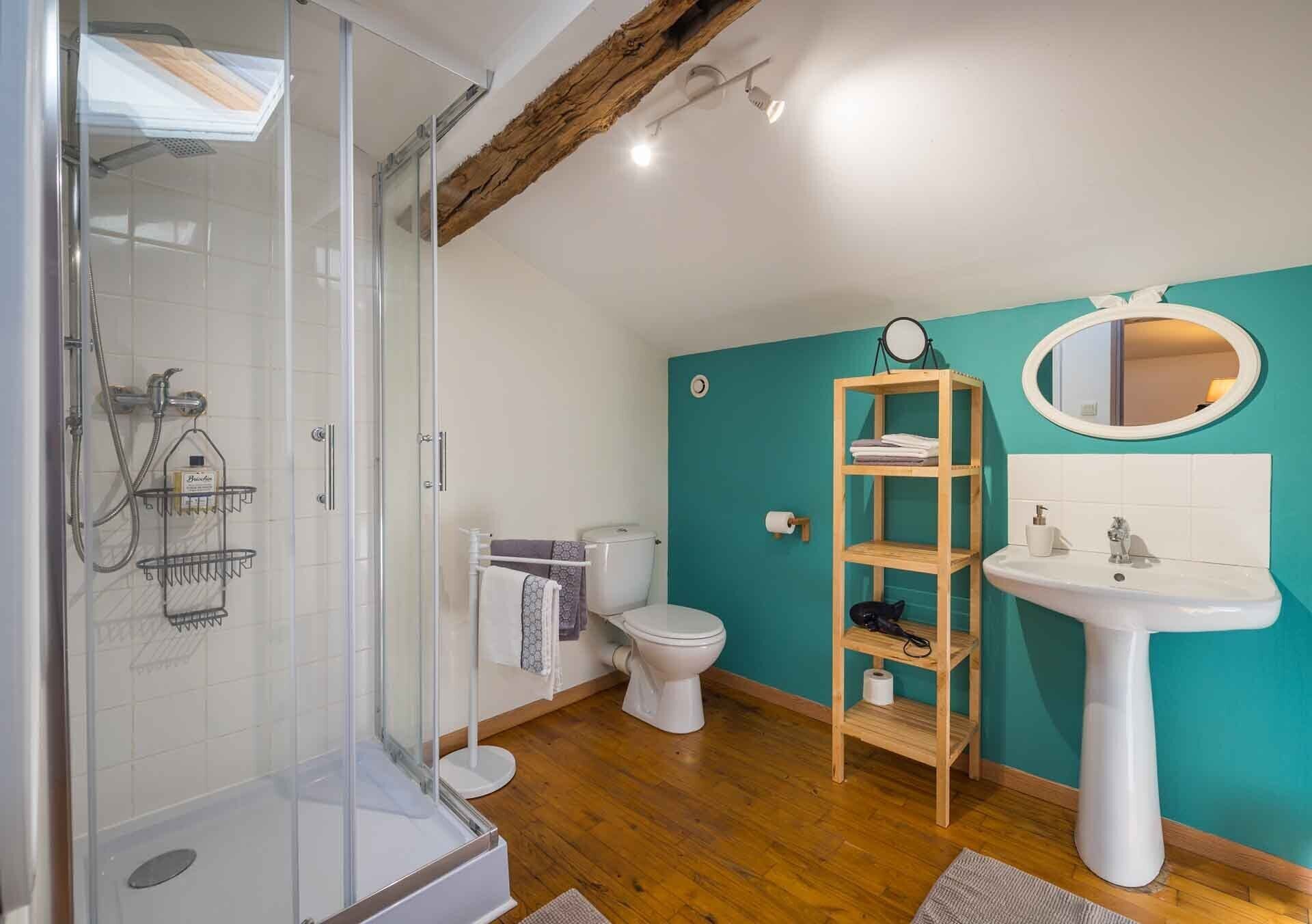 Een badkamer met een douchecabine van glas, een toilet, een wastafel met spiegel en een houten plank.