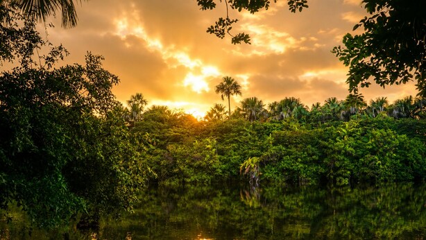 A natural landscape with dense foliage and a calm body of water reflecting the sky. - Casa Vilar Rio Lençois Maranhenses (Barreirinhas)