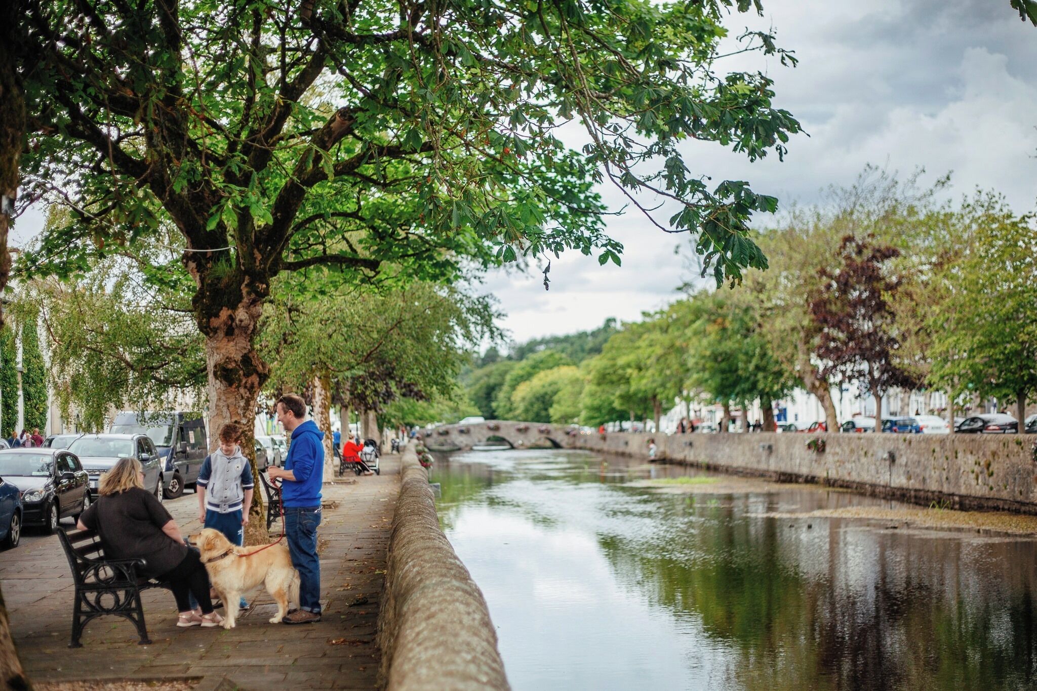 A riverside walkway with a stone bridge, trees, and a dog on a leash.