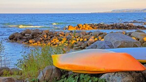 Una costa rocosa con una tabla de surf.
