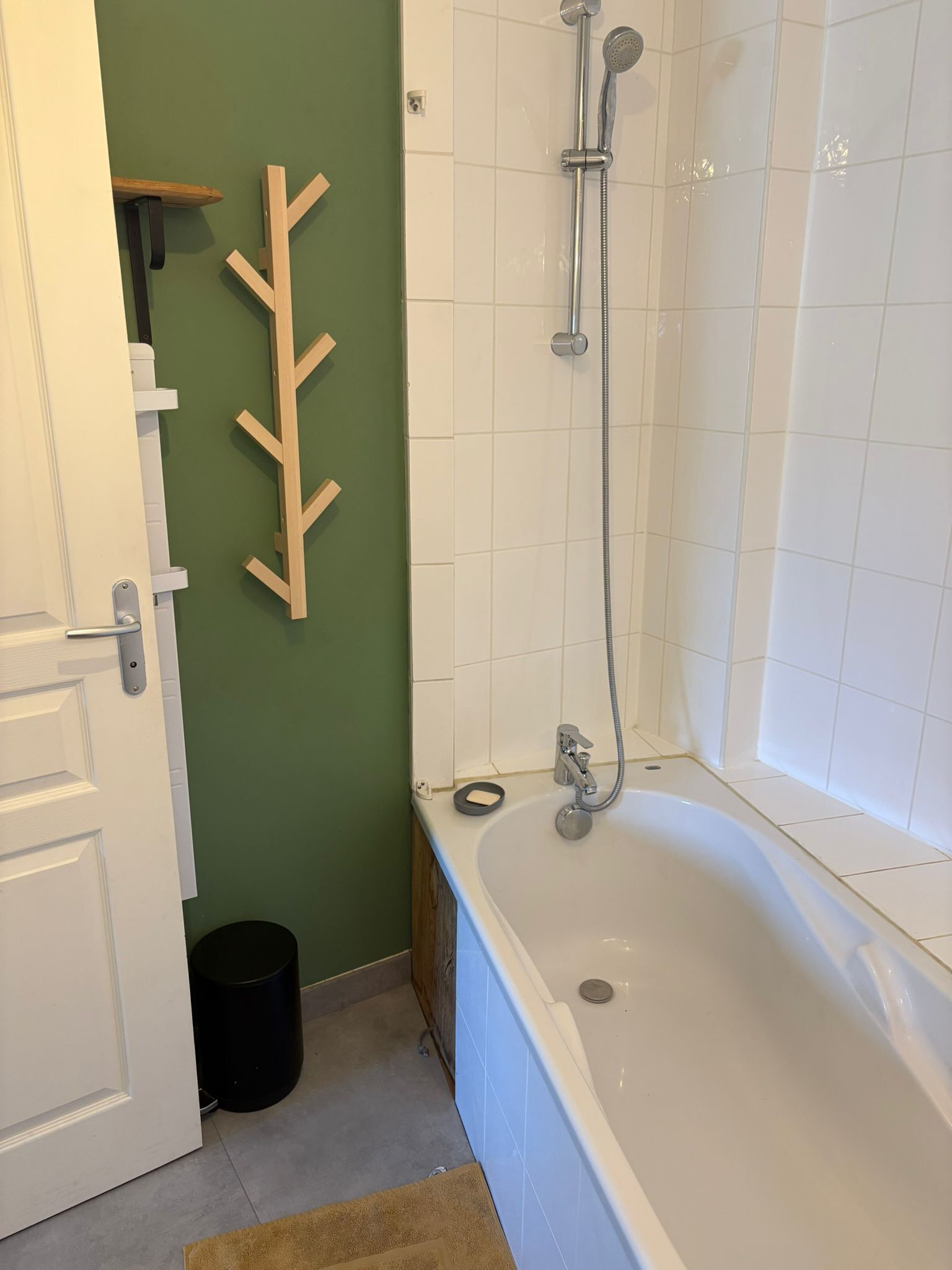 Shower, hair dryer, toilet paper
