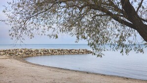 Ein Strand mit einem steinernen Wellenbrecher und einem Baum im Vordergrund.