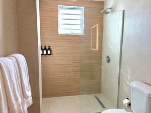 Regadera, toallas, shampoo 
