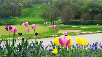 Golfe